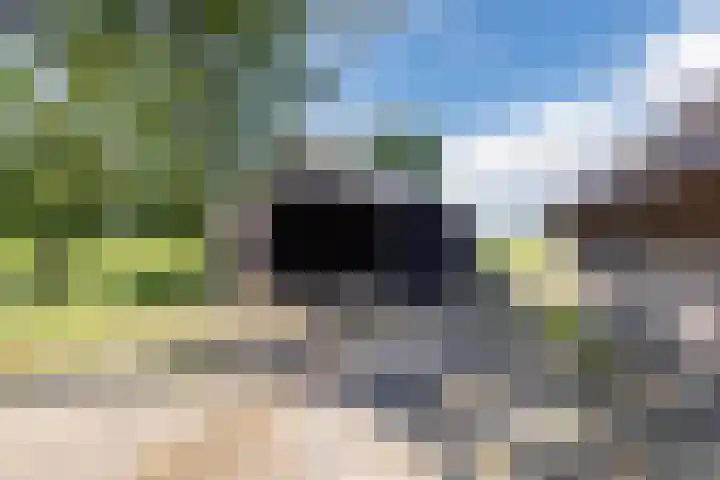 Nieuwe Dijk 4 Zuidwolde thumbnail 53