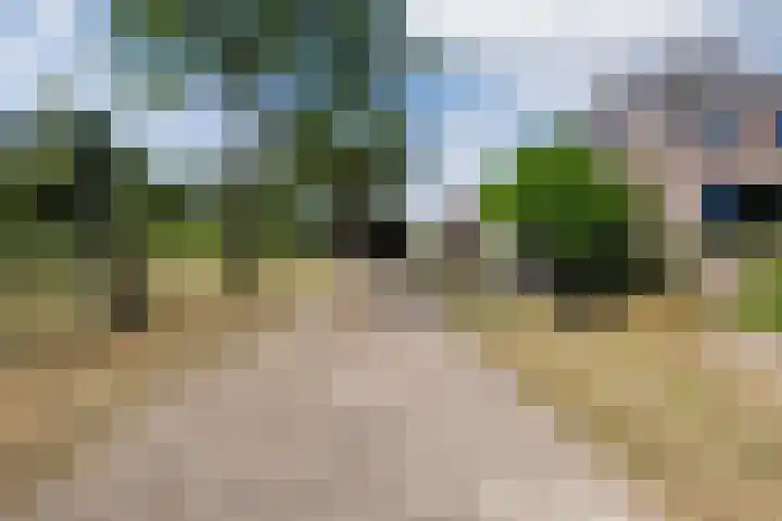 Nieuwe Dijk 4 Zuidwolde thumbnail 54