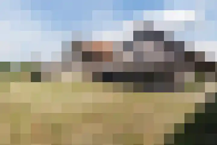 Nieuwe Dijk 4 Zuidwolde thumbnail 55