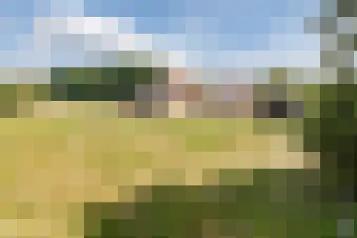 Nieuwe Dijk 4 Zuidwolde thumbnail 56