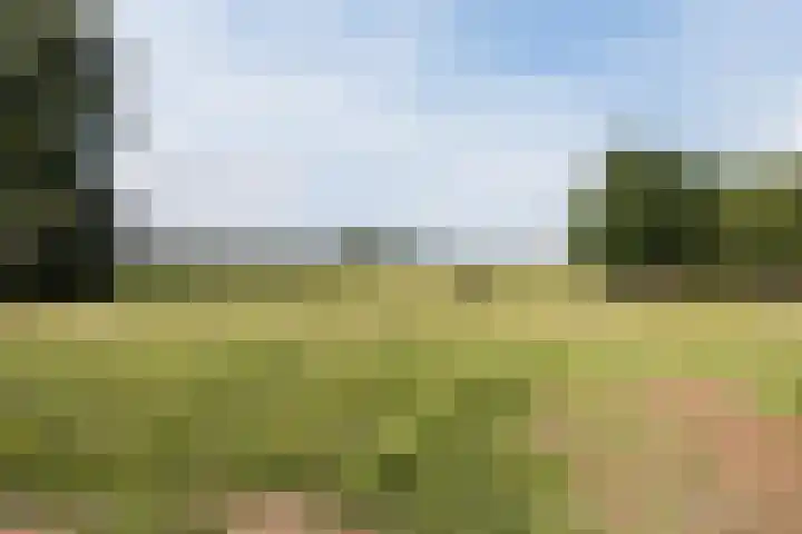 Nieuwe Dijk 4 Zuidwolde thumbnail 58