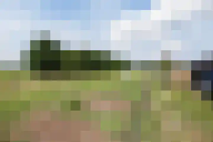 Nieuwe Dijk 4 Zuidwolde thumbnail 59