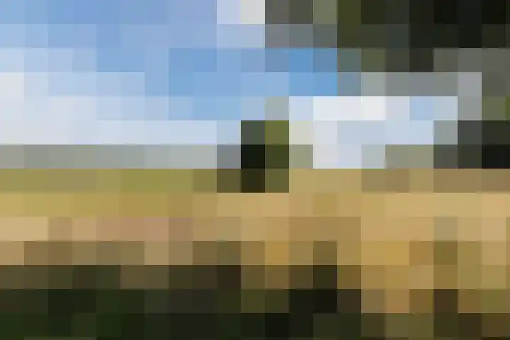 Nieuwe Dijk 4 Zuidwolde thumbnail 60