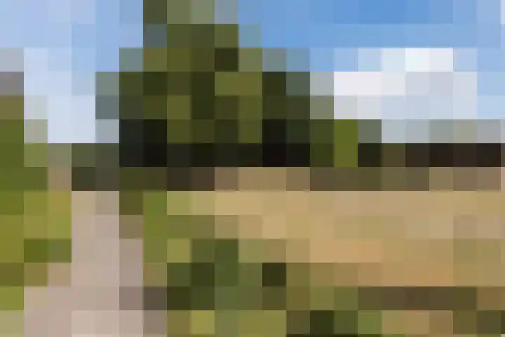 Nieuwe Dijk 4 Zuidwolde thumbnail 61