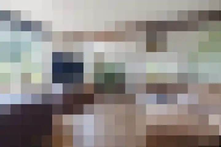 Nieuwe Dijk 4 Zuidwolde thumbnail 9