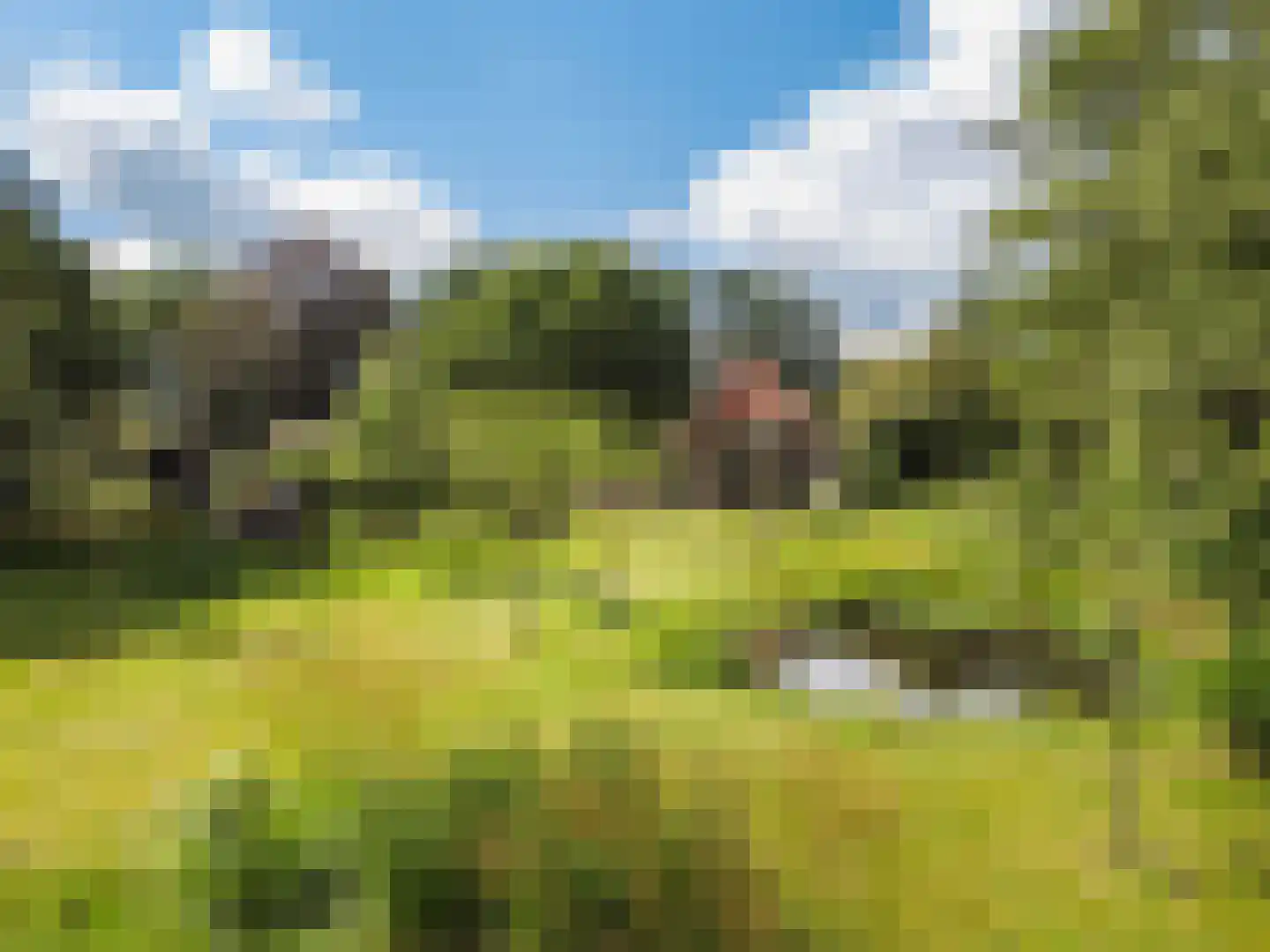 Nieuwe Dijk 6 Zuidwolde foto 2
