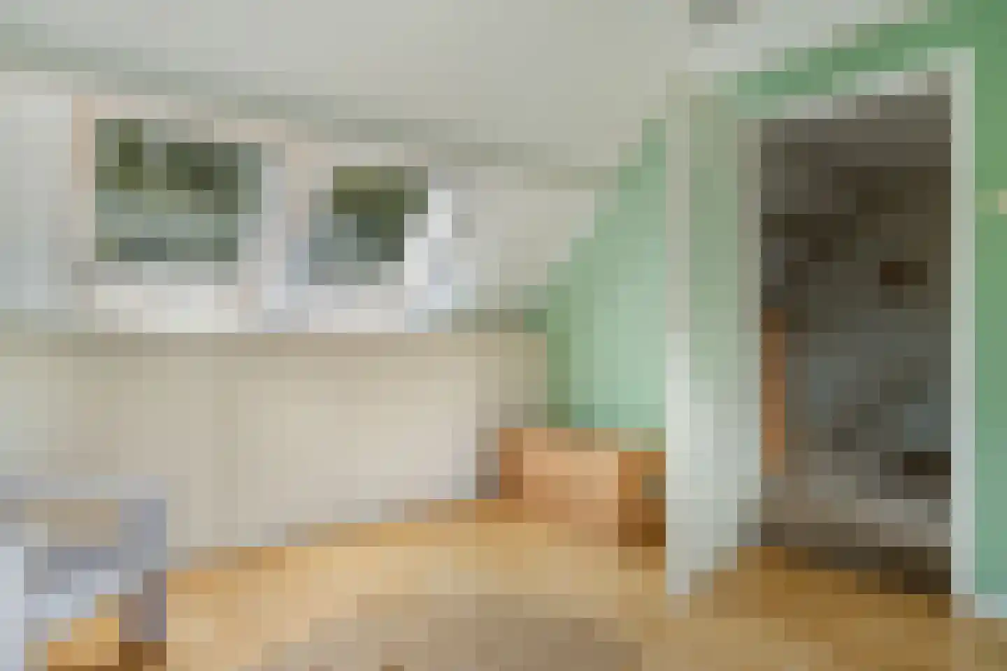 Nieuwe Dijk 6 Zuidwolde thumbnail 23