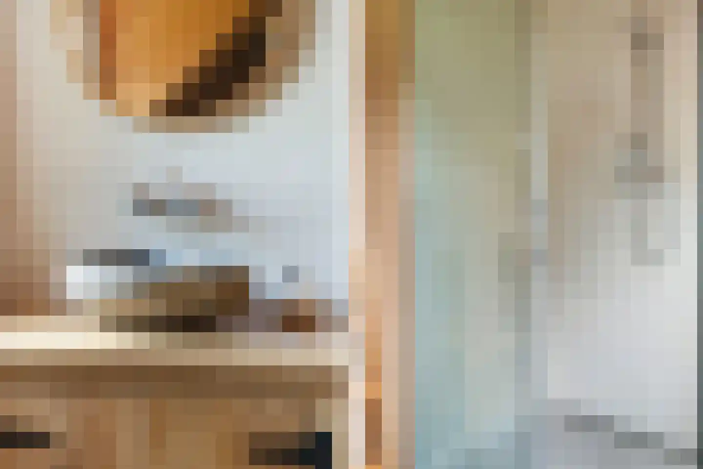 Nieuwe Dijk 6 Zuidwolde thumbnail 25