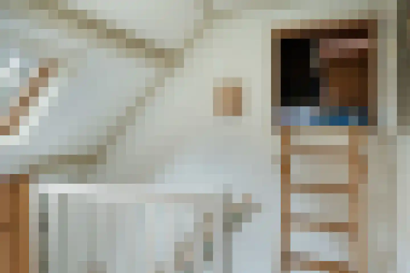 Nieuwe Dijk 6 Zuidwolde thumbnail 27