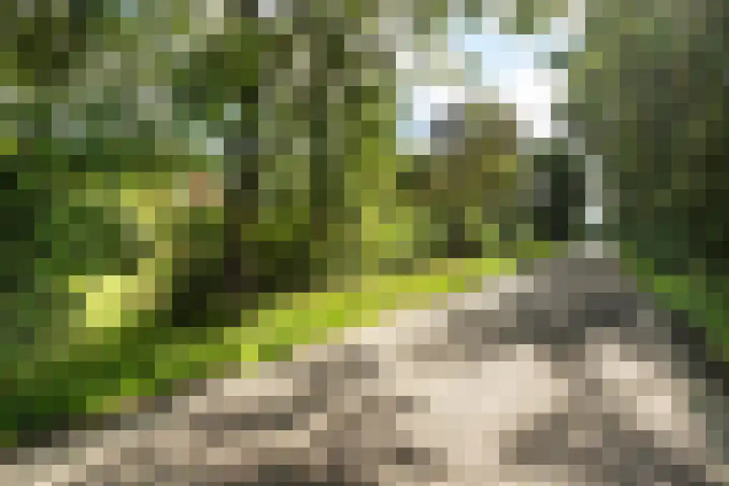 Nieuwe Dijk 6 Zuidwolde thumbnail 28