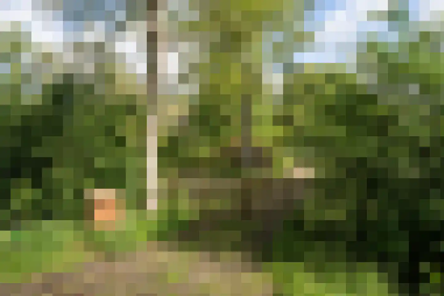 Nieuwe Dijk 6 Zuidwolde thumbnail 29