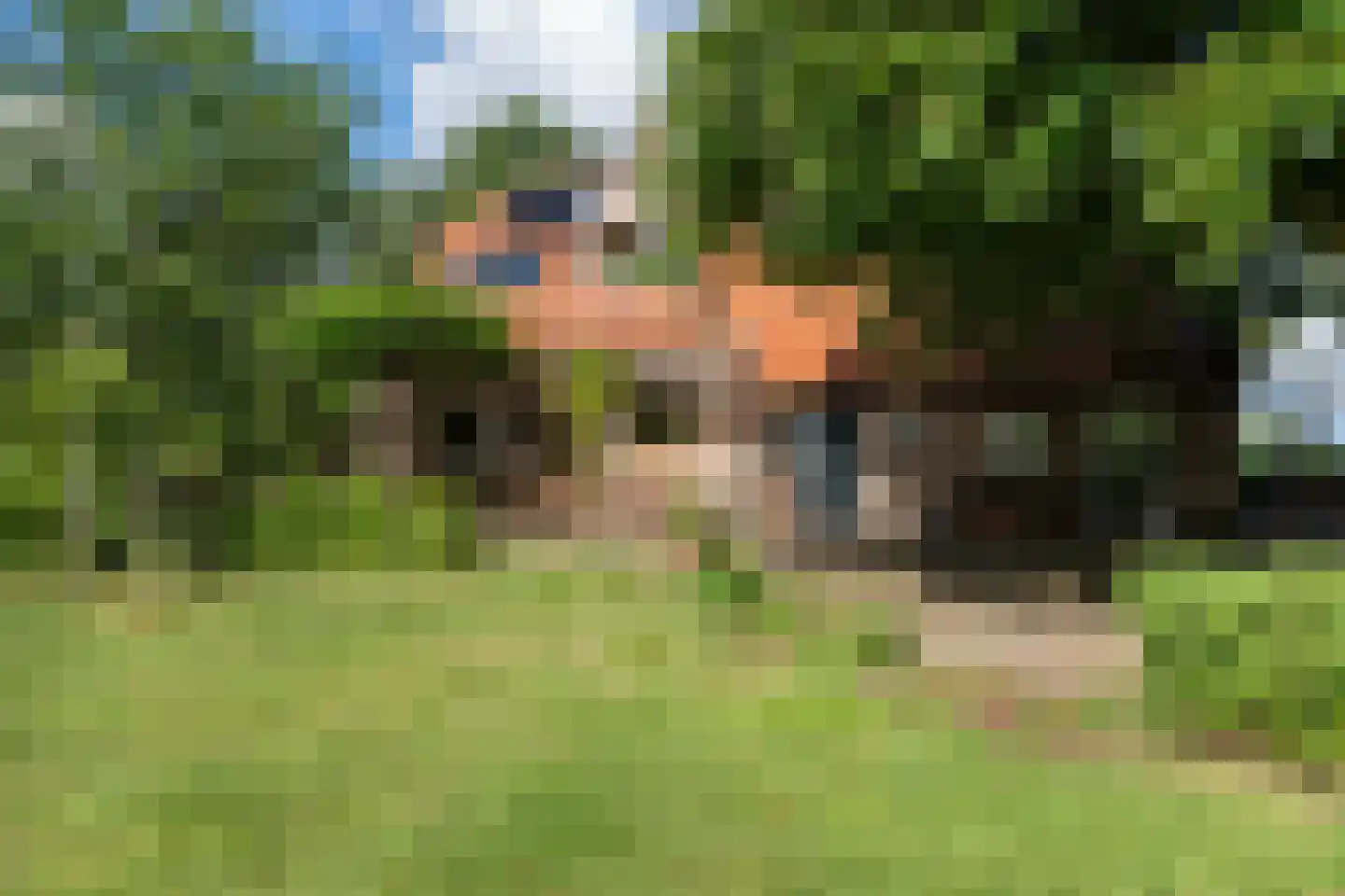 Nieuwe Dijk 6 Zuidwolde foto 3