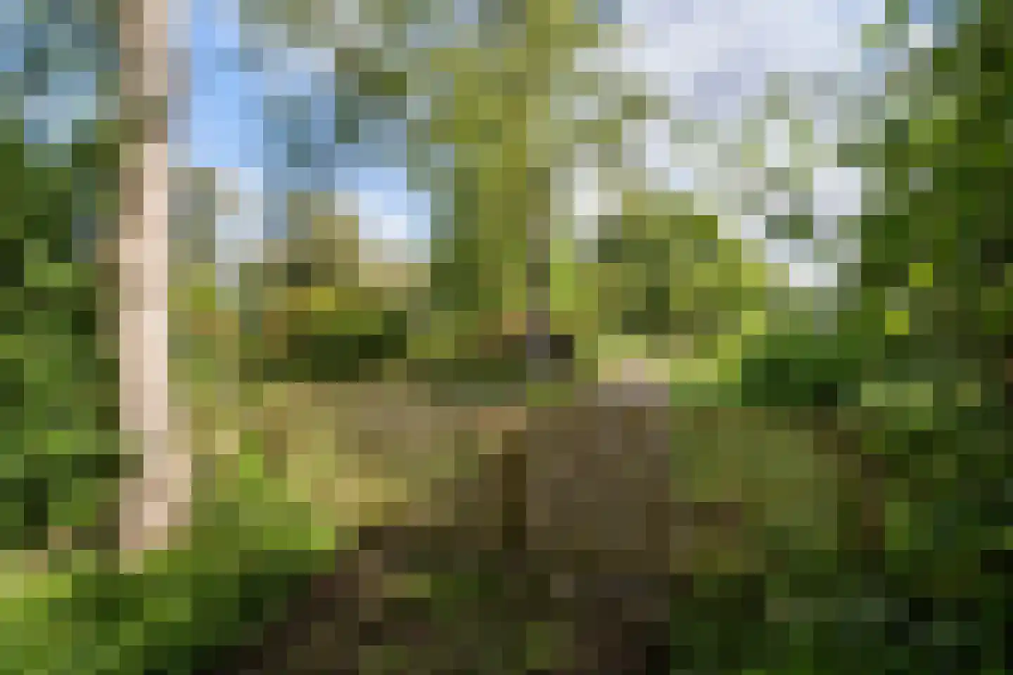 Nieuwe Dijk 6 Zuidwolde thumbnail 30