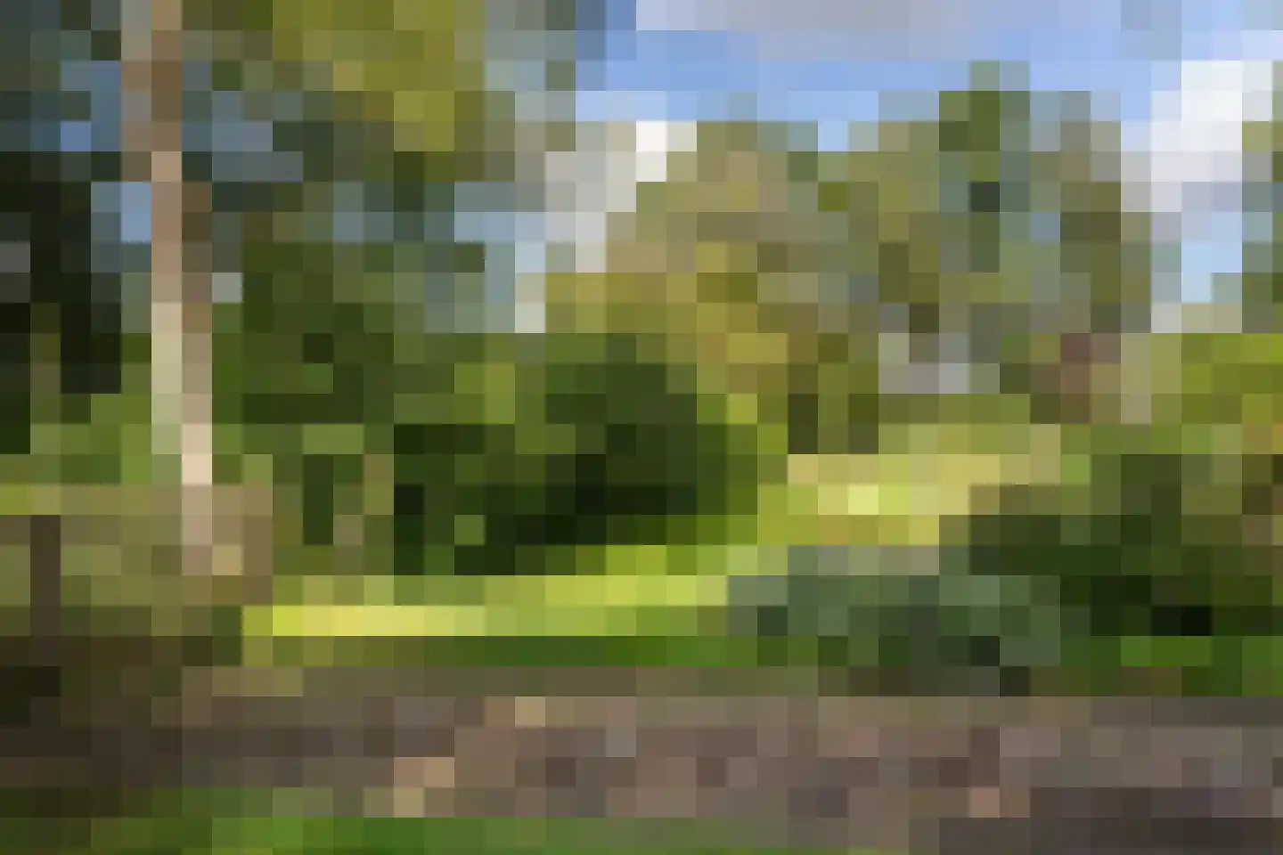 Nieuwe Dijk 6 Zuidwolde thumbnail 31
