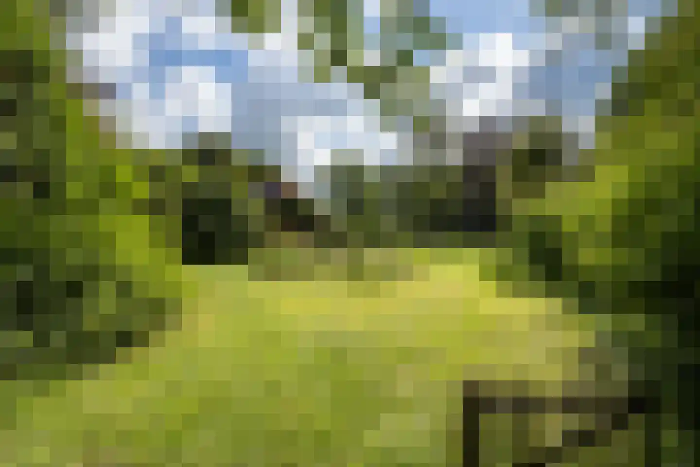 Nieuwe Dijk 6 Zuidwolde thumbnail 32