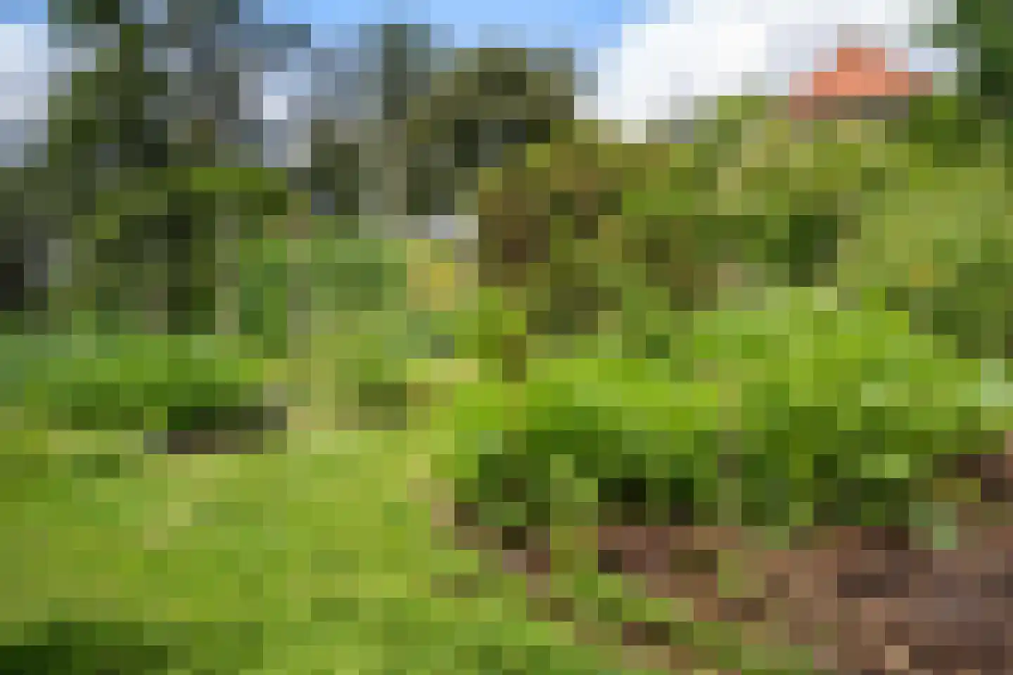 Nieuwe Dijk 6 Zuidwolde thumbnail 33