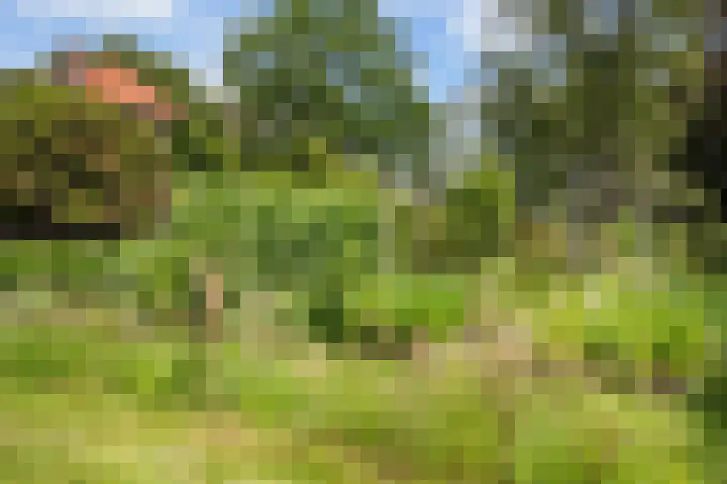 Nieuwe Dijk 6 Zuidwolde thumbnail 34