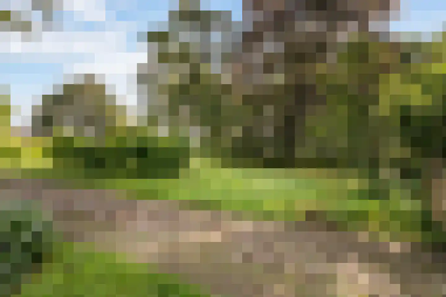 Nieuwe Dijk 6 Zuidwolde thumbnail 35