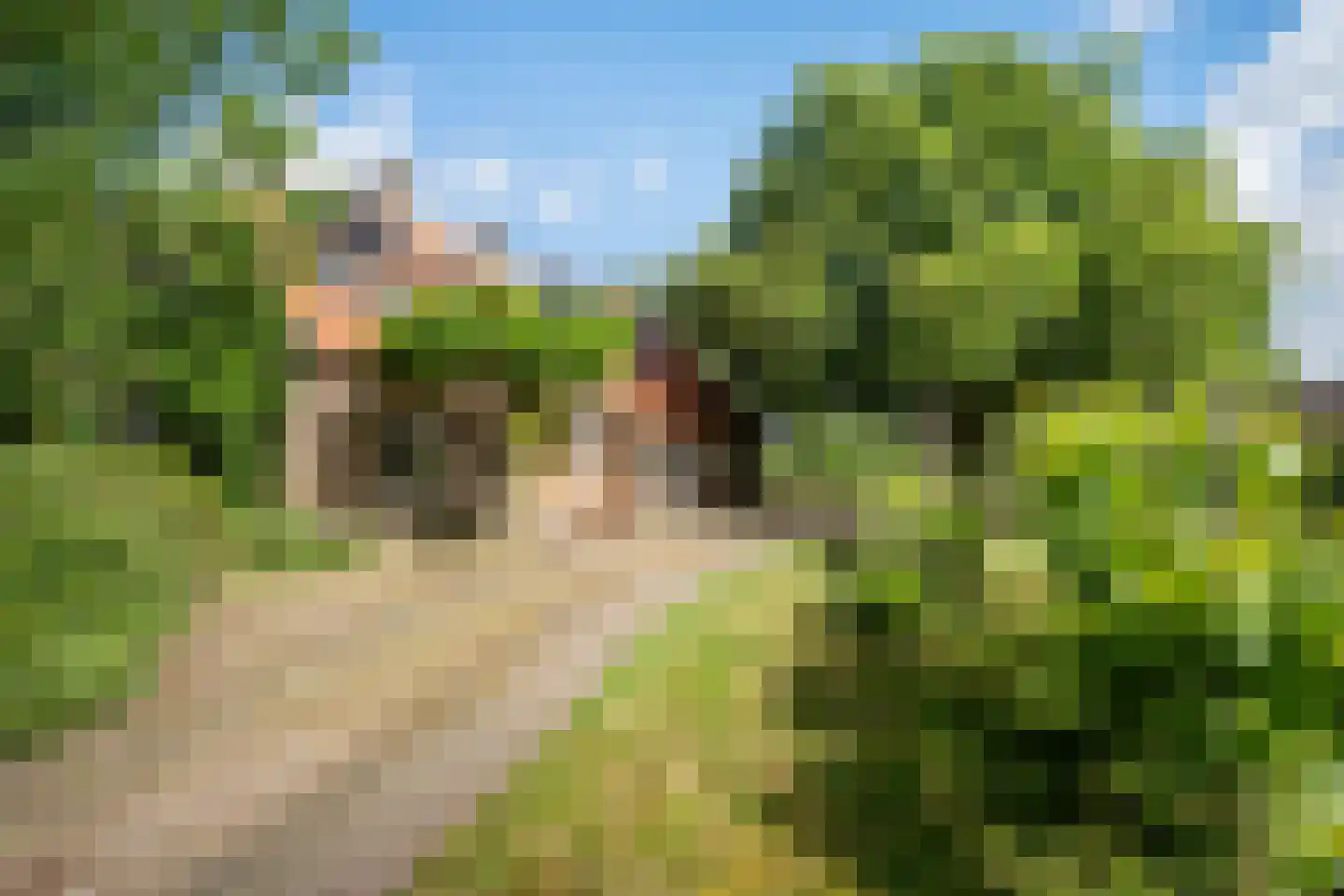 Nieuwe Dijk 6 Zuidwolde thumbnail 36