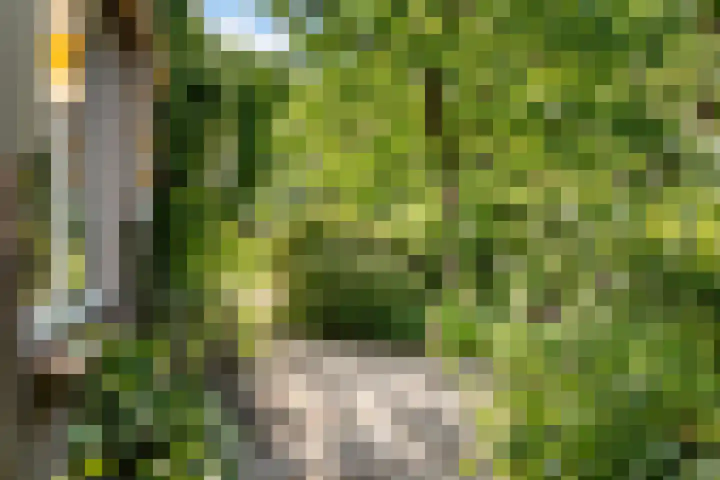 Nieuwe Dijk 6 Zuidwolde thumbnail 37