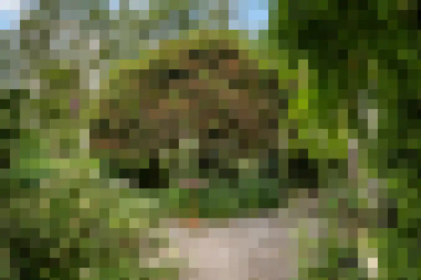 Nieuwe Dijk 6 Zuidwolde thumbnail 38