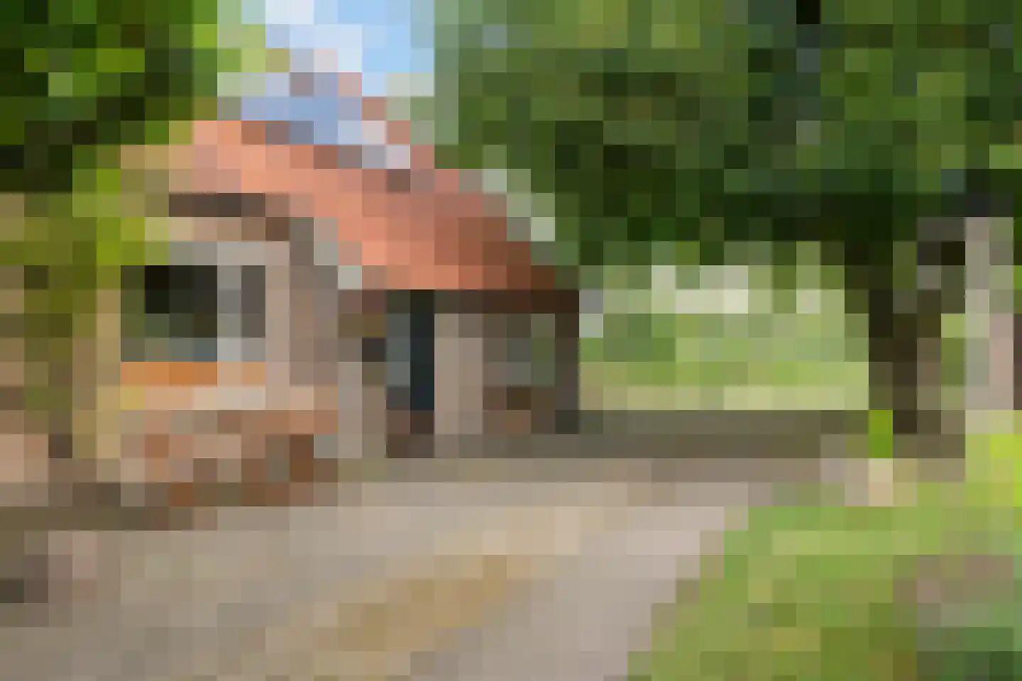 Nieuwe Dijk 6 Zuidwolde thumbnail 39