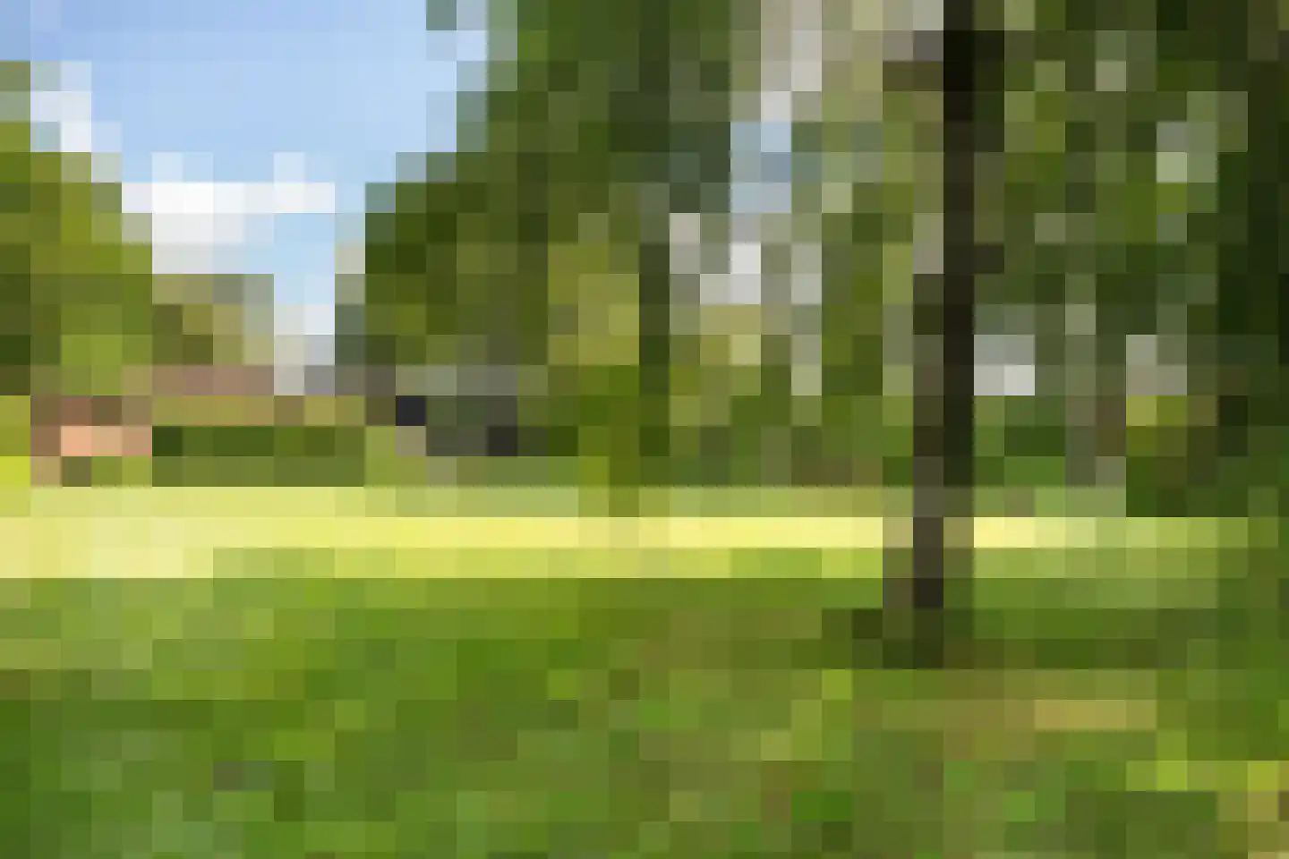 Nieuwe Dijk 6 Zuidwolde thumbnail 40