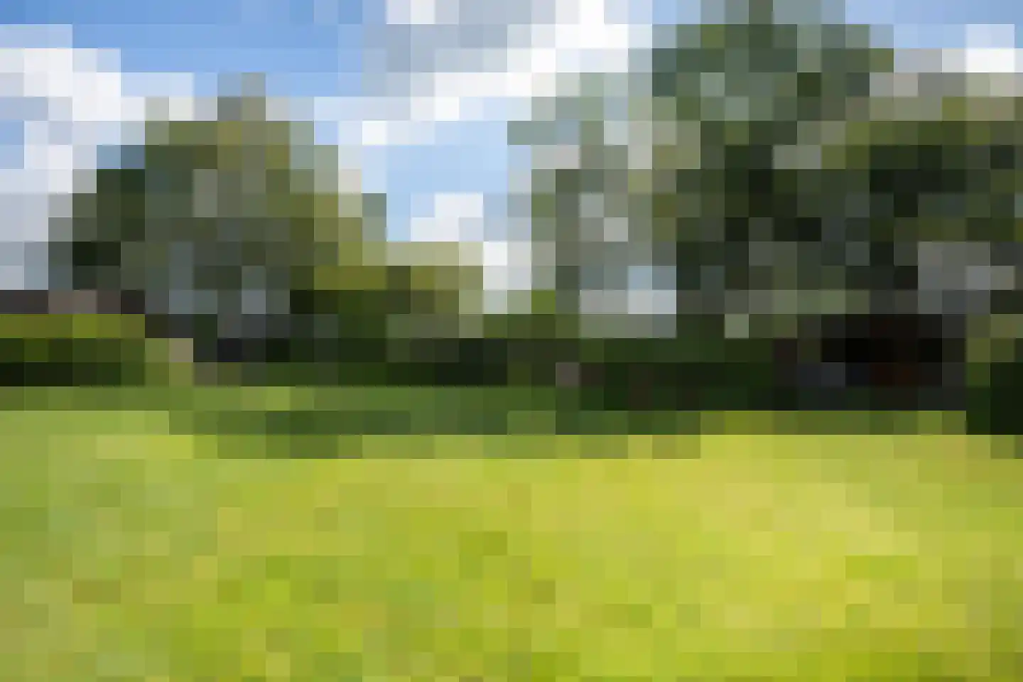 Nieuwe Dijk 6 Zuidwolde thumbnail 41