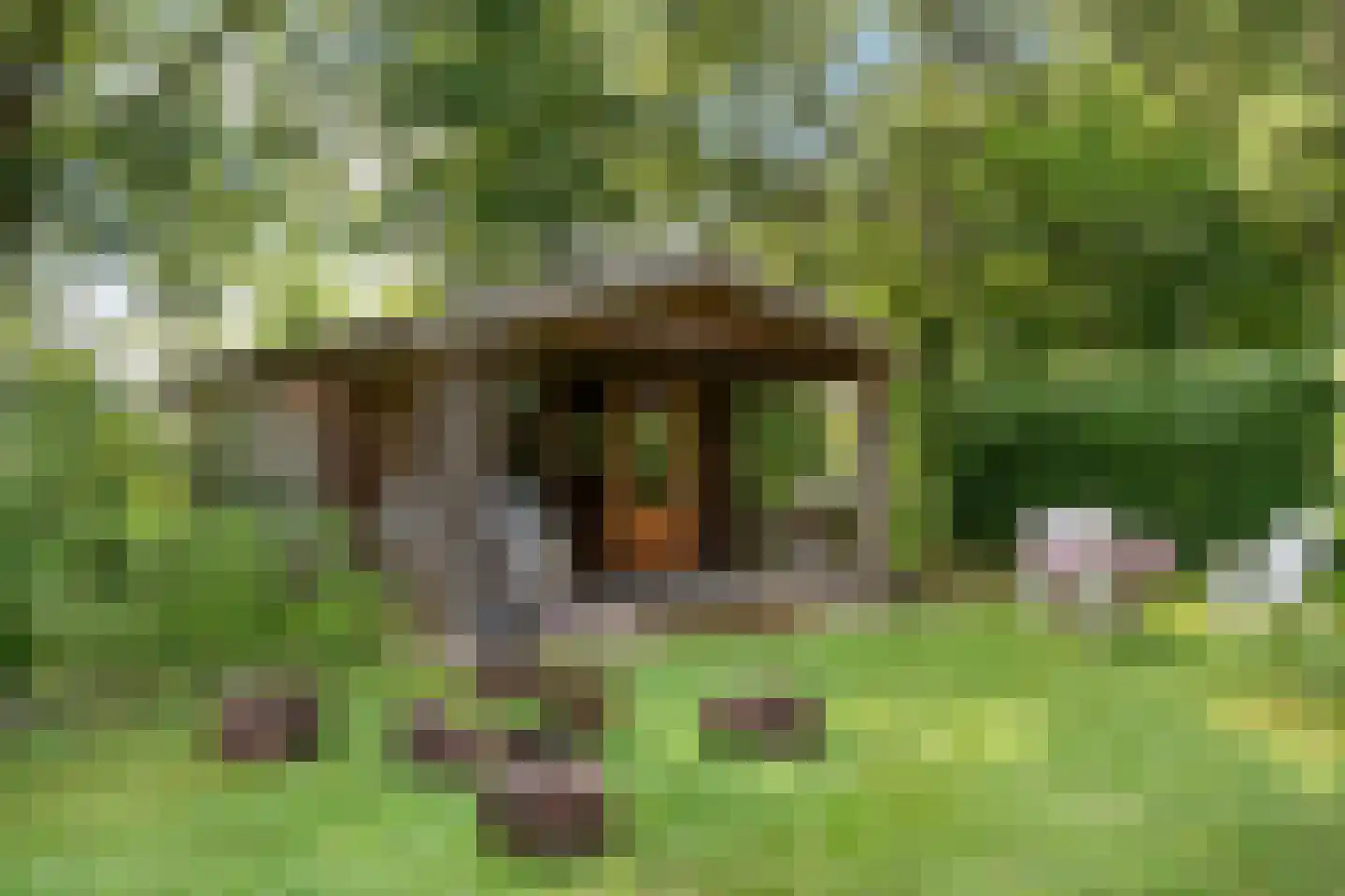 Nieuwe Dijk 6 Zuidwolde thumbnail 42