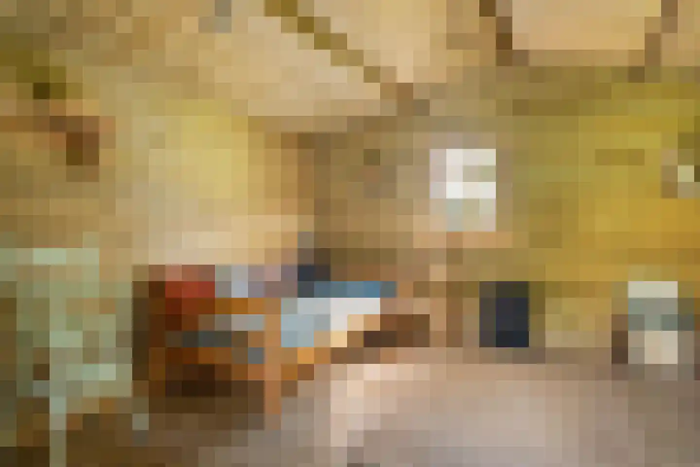 Nieuwe Dijk 6 Zuidwolde thumbnail 43