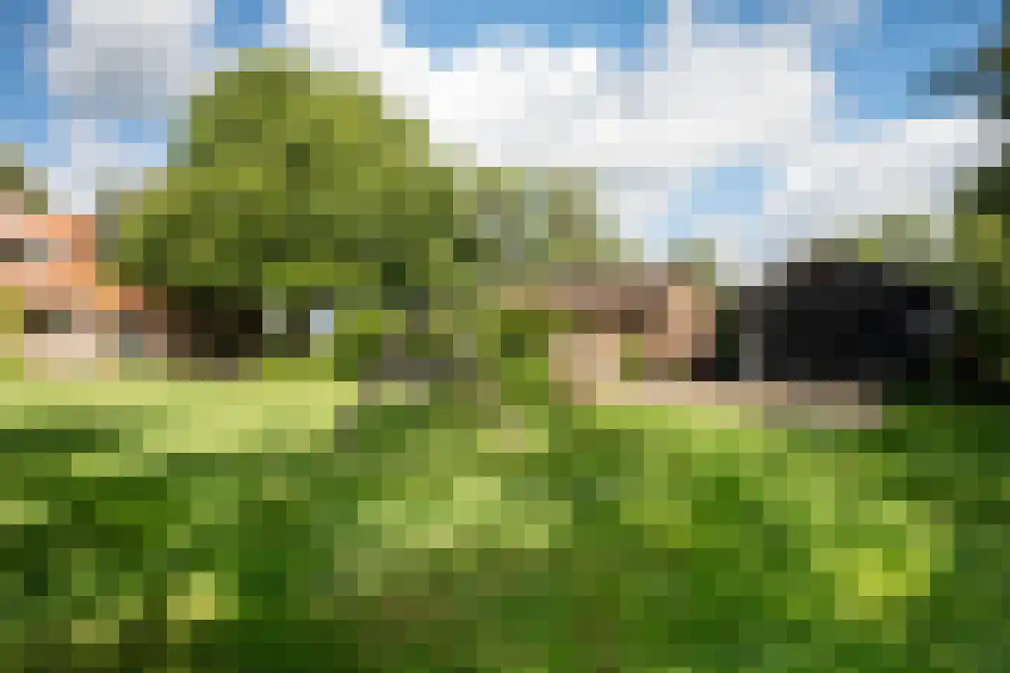 Nieuwe Dijk 6 Zuidwolde thumbnail 44