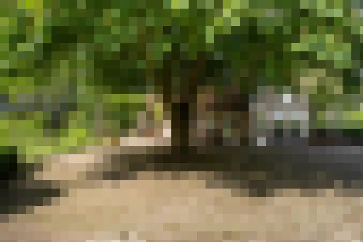 Nieuwe Dijk 6 Zuidwolde thumbnail 45