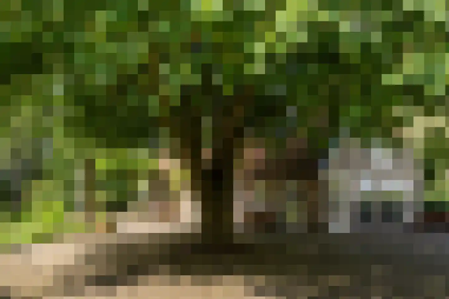 Nieuwe Dijk 6 Zuidwolde thumbnail 46