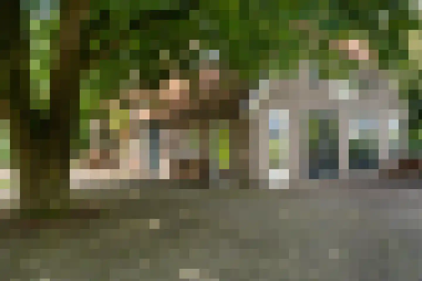 Nieuwe Dijk 6 Zuidwolde thumbnail 47
