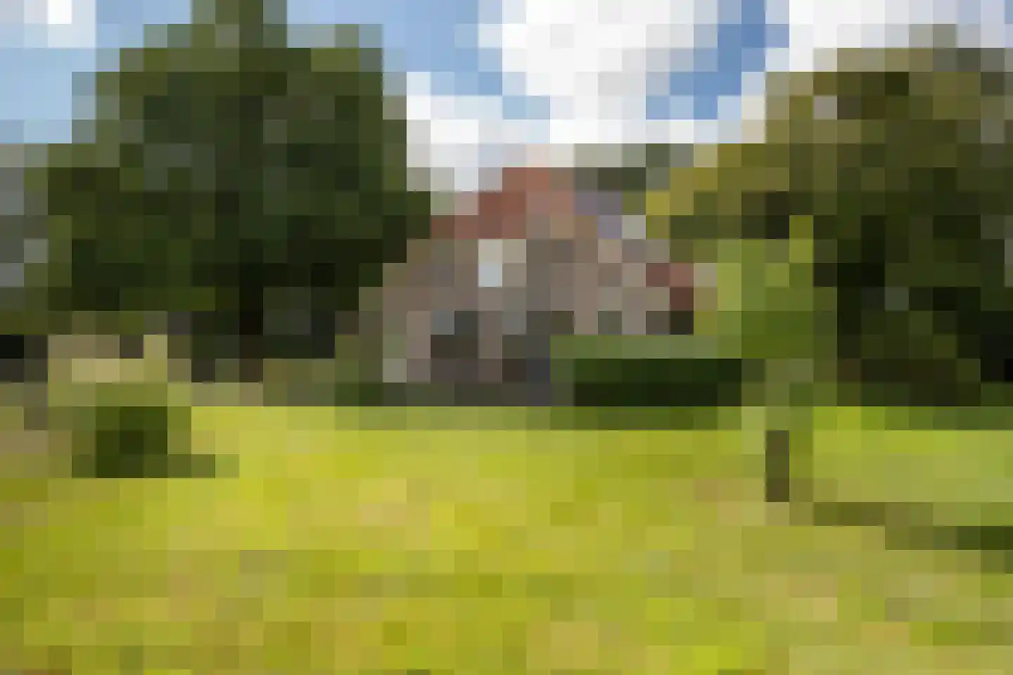 Nieuwe Dijk 6 Zuidwolde thumbnail 49