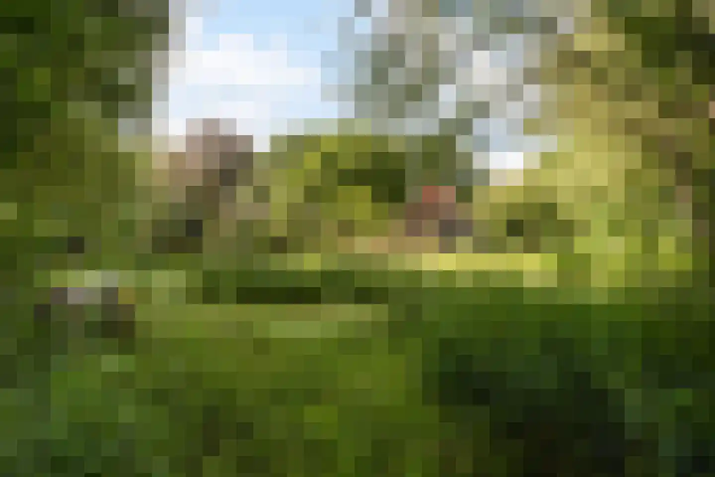 Nieuwe Dijk 6 Zuidwolde thumbnail 50