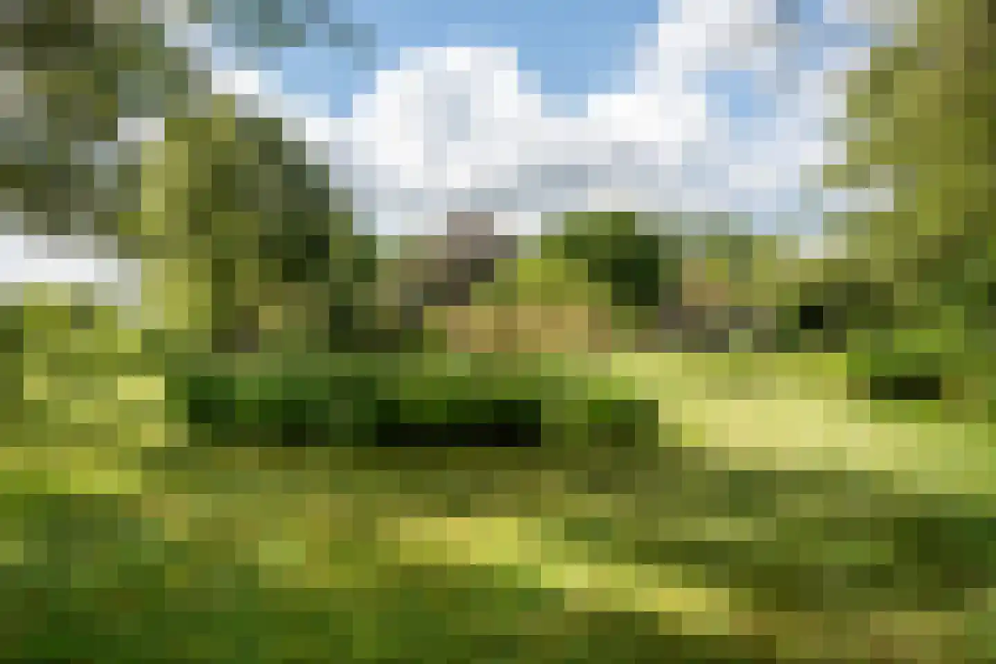 Nieuwe Dijk 6 Zuidwolde thumbnail 51
