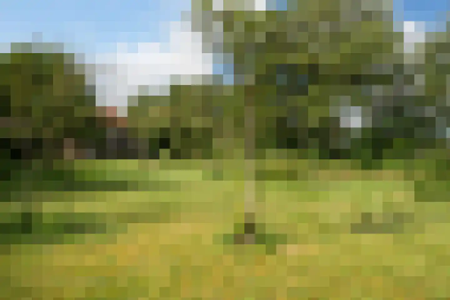 Nieuwe Dijk 6 Zuidwolde thumbnail 52