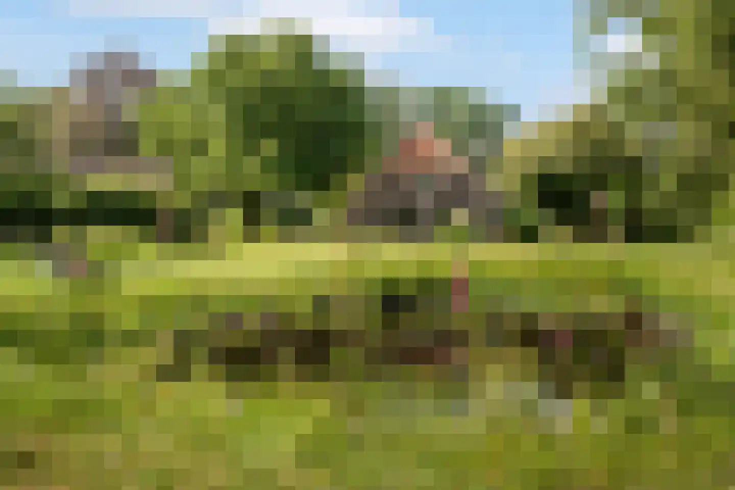 Nieuwe Dijk 6 Zuidwolde thumbnail 53