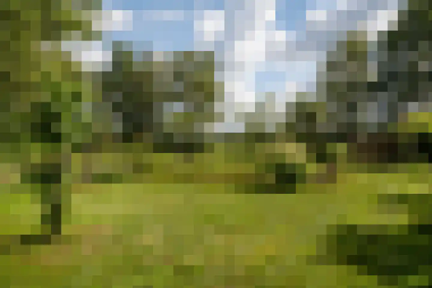 Nieuwe Dijk 6 Zuidwolde thumbnail 54