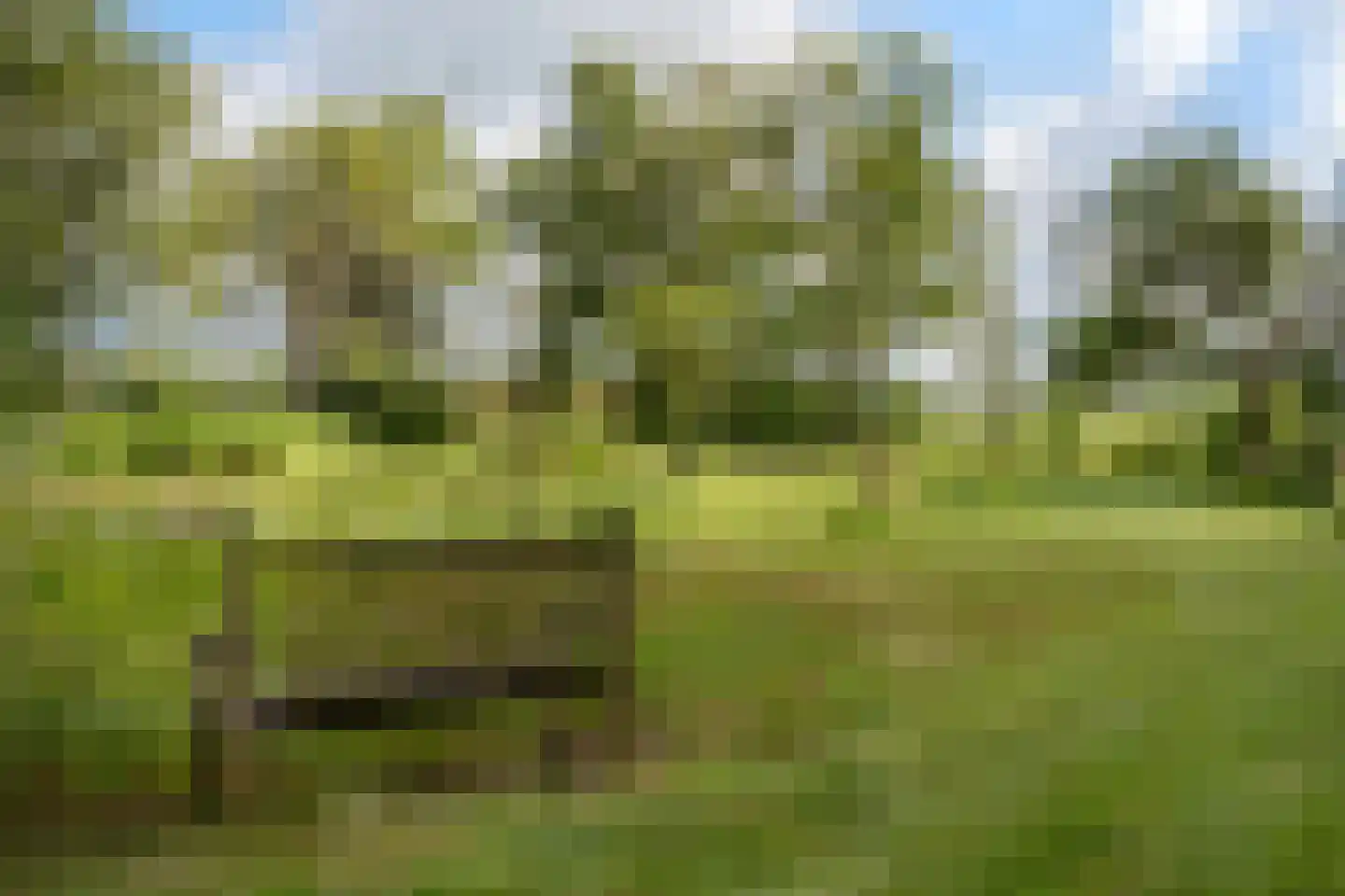 Nieuwe Dijk 6 Zuidwolde thumbnail 55