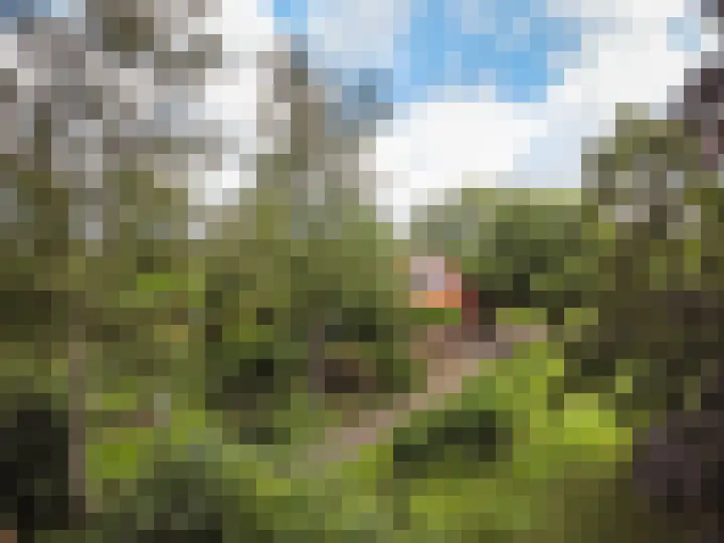 Nieuwe Dijk 6 Zuidwolde thumbnail 56