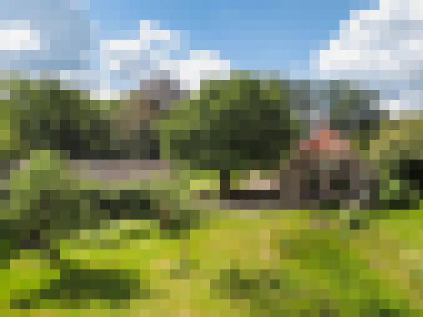 Nieuwe Dijk 6 Zuidwolde thumbnail 58