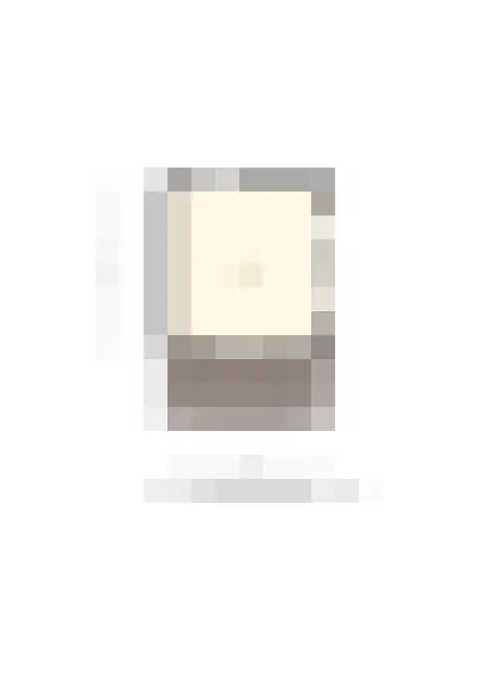 Nieuwe Dijk 6 Zuidwolde thumbnail 63