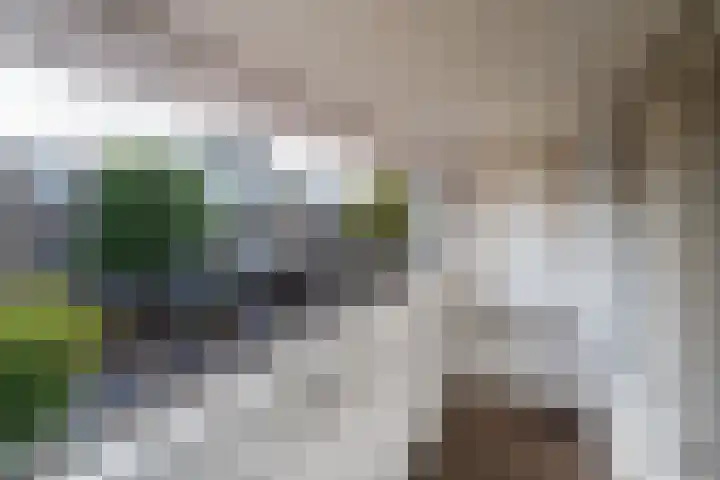 Nieuwe Doelenstraat 2 Hilversum thumbnail 8