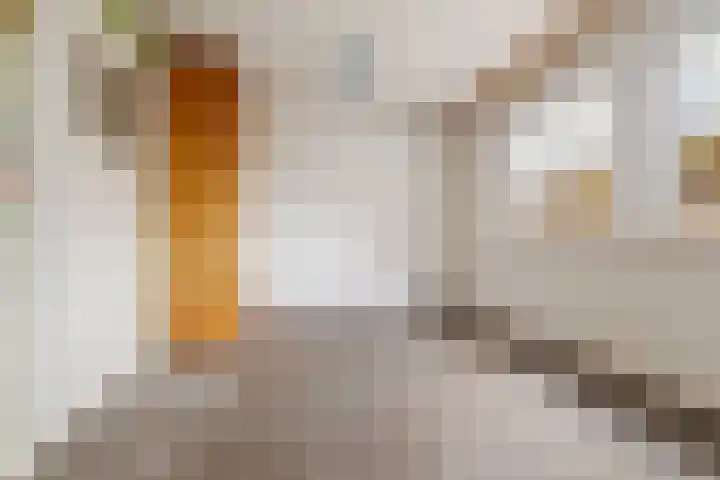 Nieuwe Doelenstraat 21 Zevenaar thumbnail 23