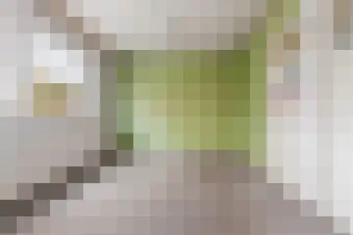 Nieuwe Doelenstraat 21 Zevenaar thumbnail 25