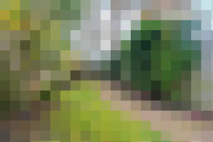 Nieuwe Doelenstraat 21 Zevenaar thumbnail 43