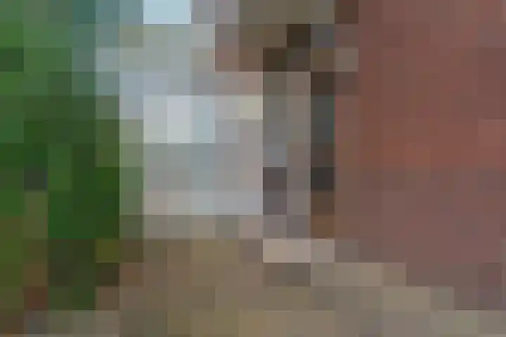 Nieuwe Doelenstraat 21 Zevenaar thumbnail 47