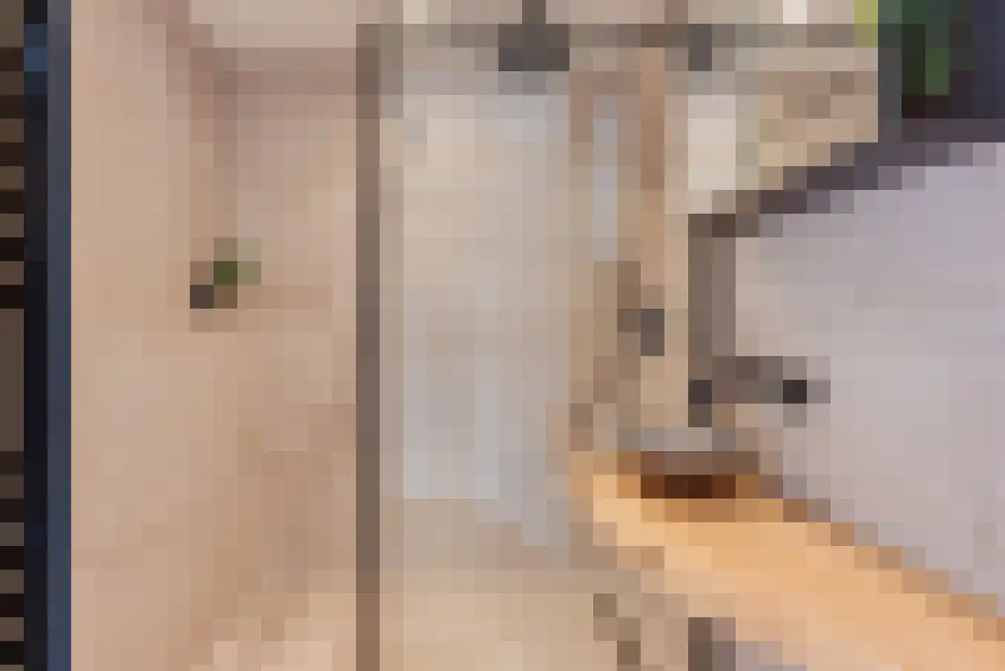 Nieuwe Doelenstraat 43 Hilversum thumbnail 28